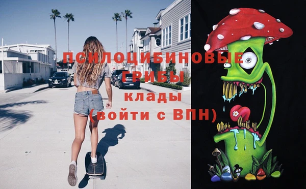 стафф Алзамай