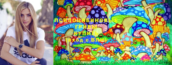 стафф Алзамай
