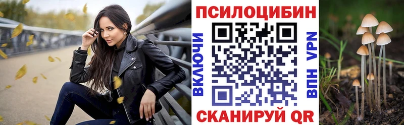 Галлюциногенные грибы Psilocybe  Ливны 
